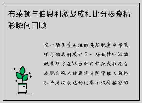 布莱顿与伯恩利激战成和比分揭晓精彩瞬间回顾